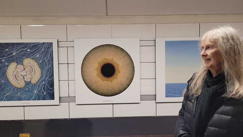 Två konstverk på en tunnelbanevägg, en målning av en hjärna i genomskärning och en närbild av en ögoniris. Till höger konstnären, kvinna med långt grått hår och glasögon.