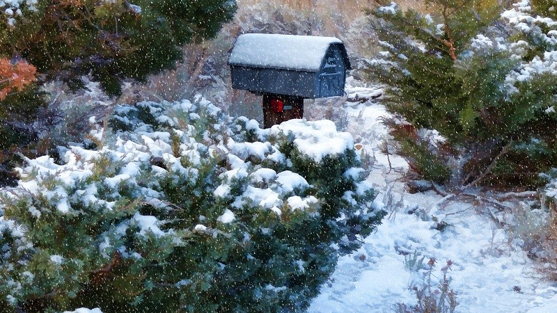 En konstnärlig återgivning av en postlåda i snö, omgiven av buskar och träd.