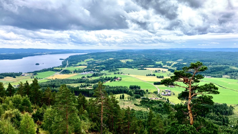 Storslagen vy över barrskog, öppna gröna fält, sjön Fryken och dramatisk himmel i Värmland.