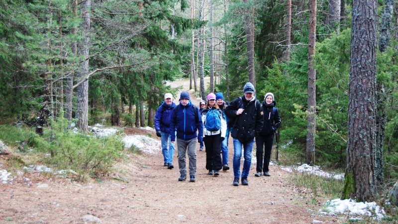 En grupp människor vandrar på en skogsväg.