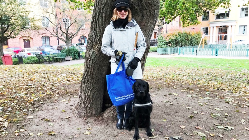 Kvinna står vid träd i park med ledarhund, svart labrador