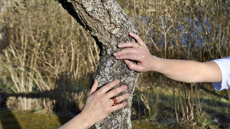 två kvinnohänder håller om en trädstam