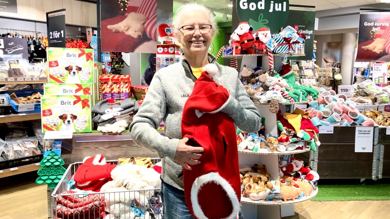 Äldre gråhårig vit kvinna, står i djurbutik, håller i en röd tomtedräkt för hund.